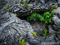 Tunnels de lave